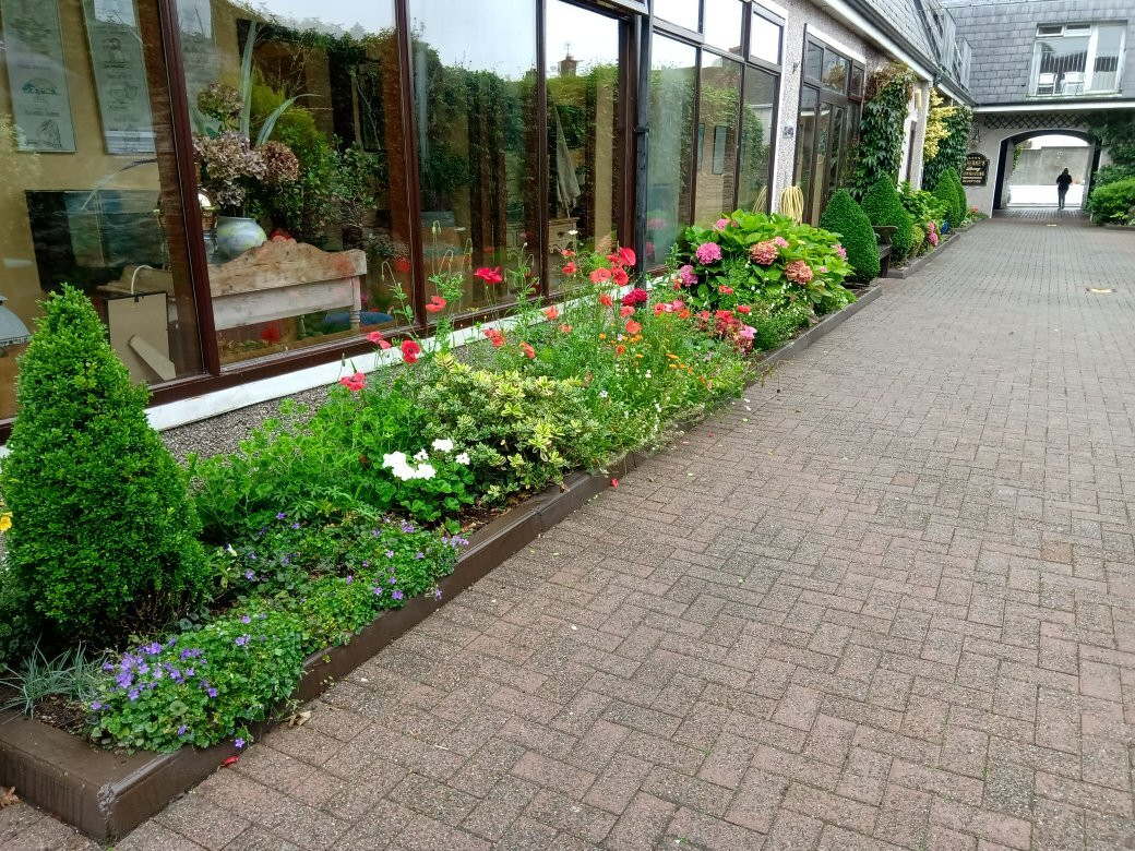 Aherne's Townhouse Hotel Youghal主图