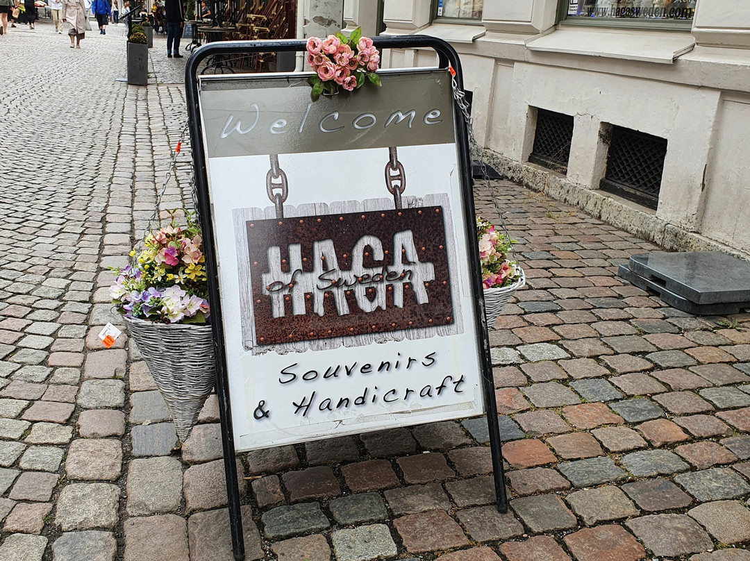 Haga of Sweden-哥德堡必去景点