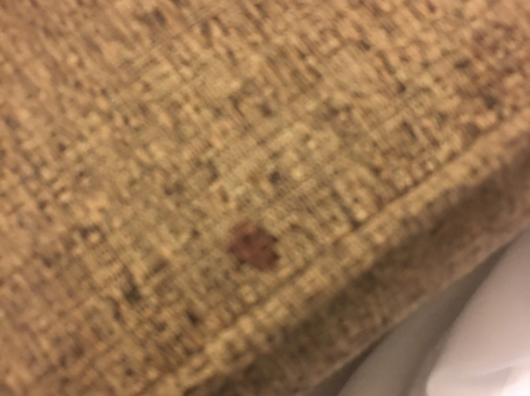 Best Western Plus Eagleridge Inn & Suites主图