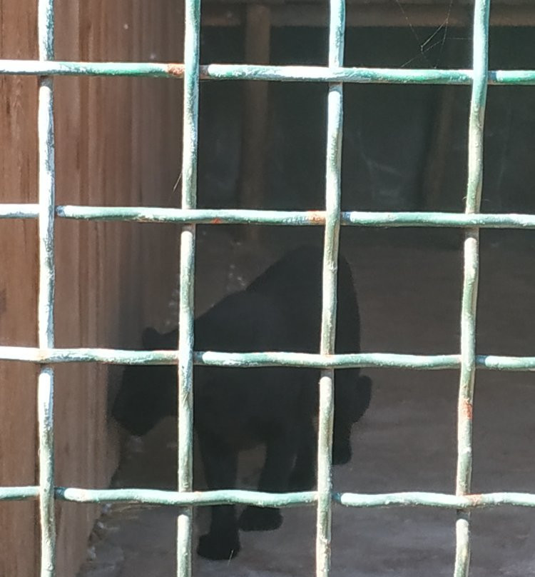 Safari Zoo-Berdyansk必去景点