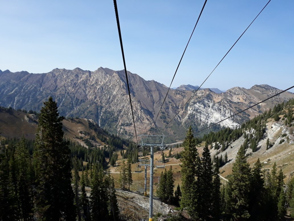 Snowbird-布莱敦必去景点