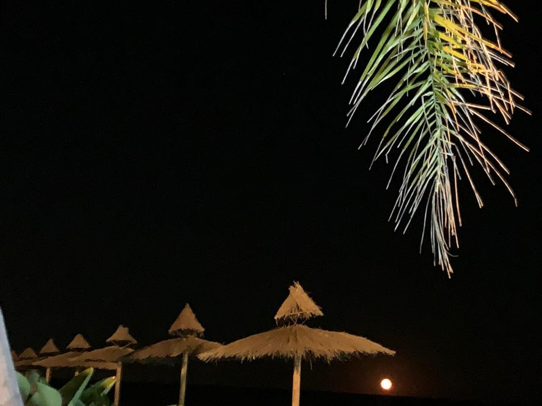 Riva dei Ginepri Beach Club景点图片