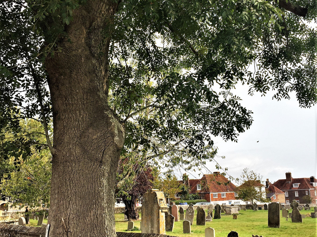 John Wesley's Last Open Air Sermon Tree景点图片