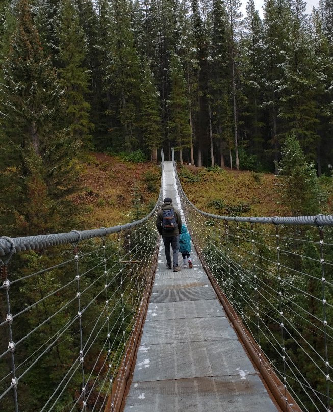 Blackshale Suspension Bridge-Peter Lougheed Provincial Park必去景点