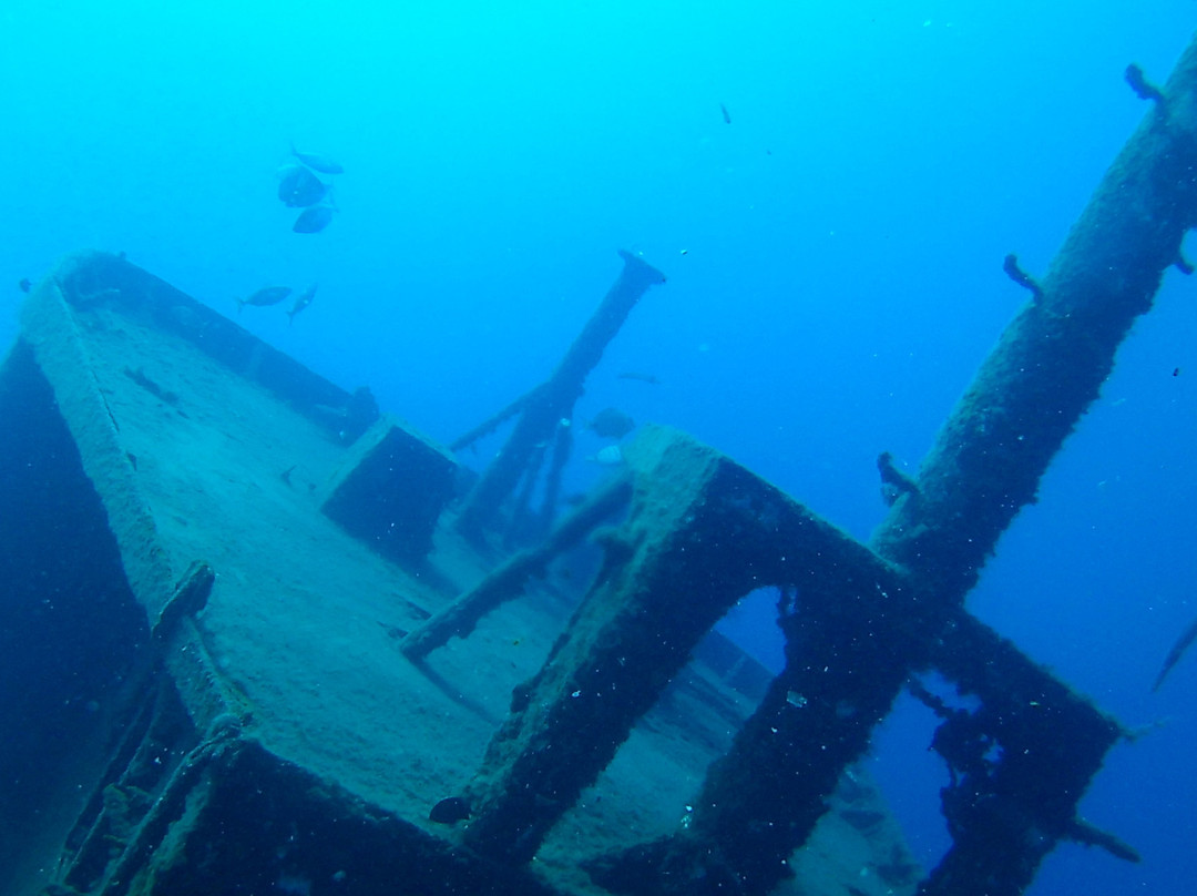 Ecological Divers Tenerife-Los Abrigos必去景点