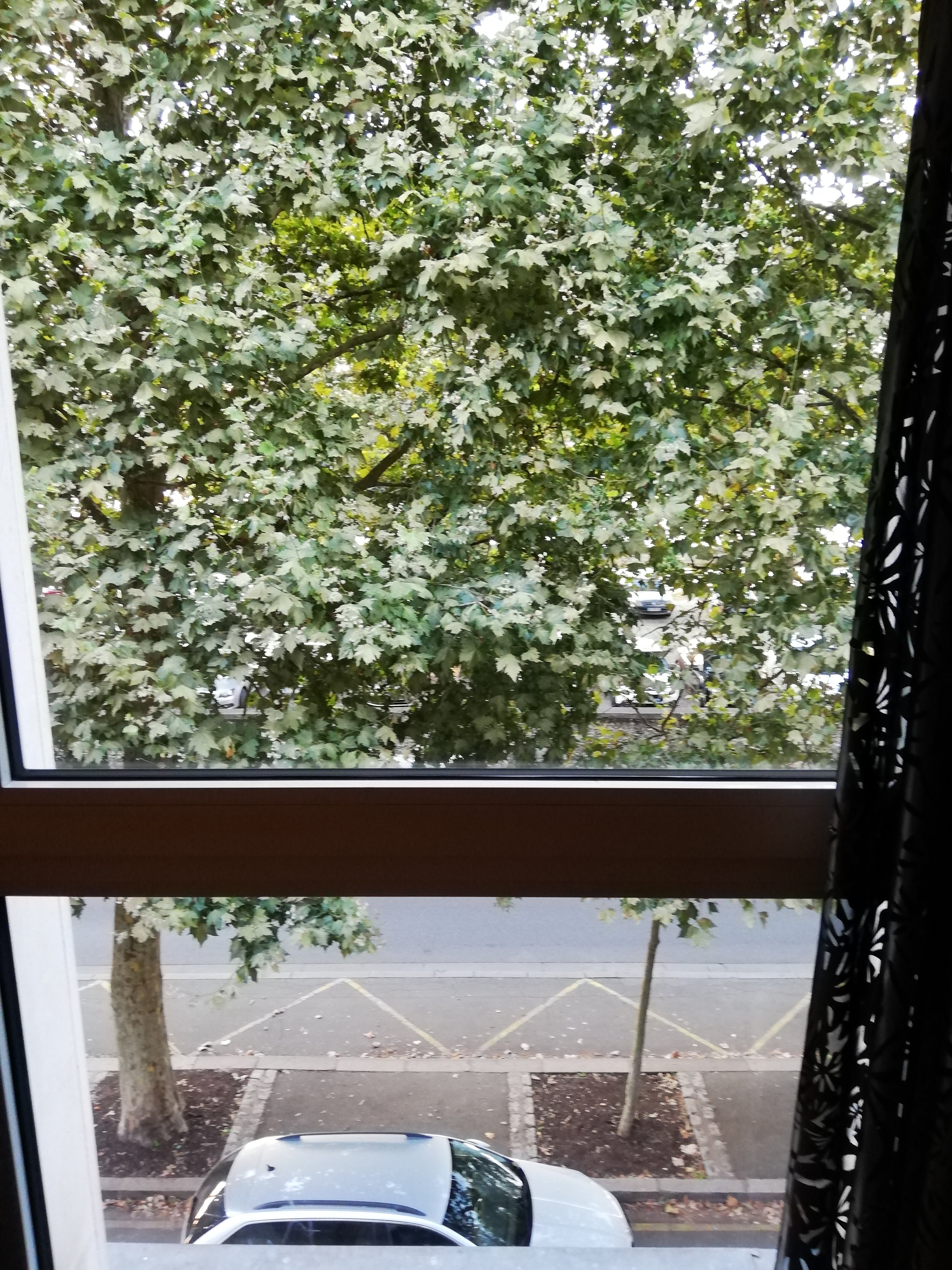 Mercure Blois Centre-酒店景观