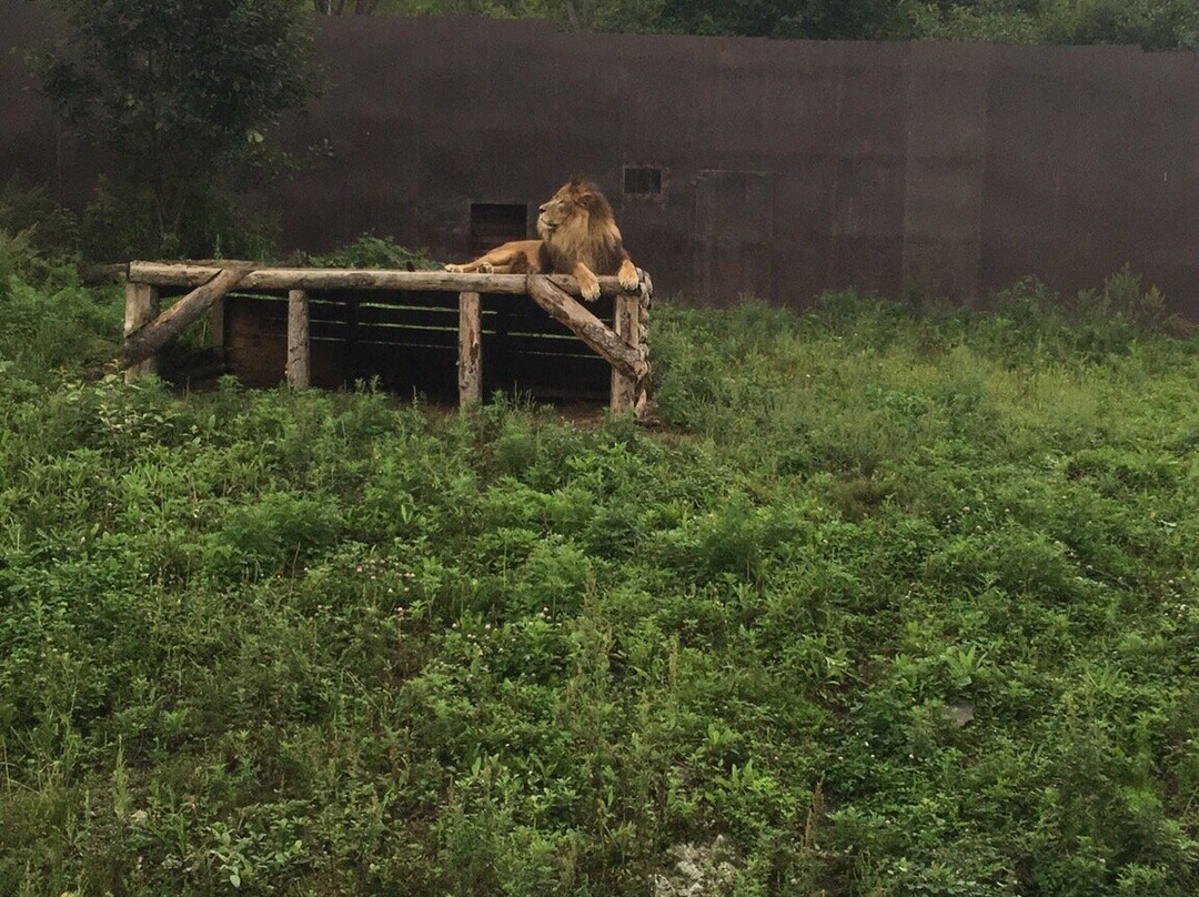 Sadgorod Zoo-海参崴必去景点
