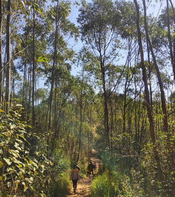 Morro da Placa-Cajamar必去景点