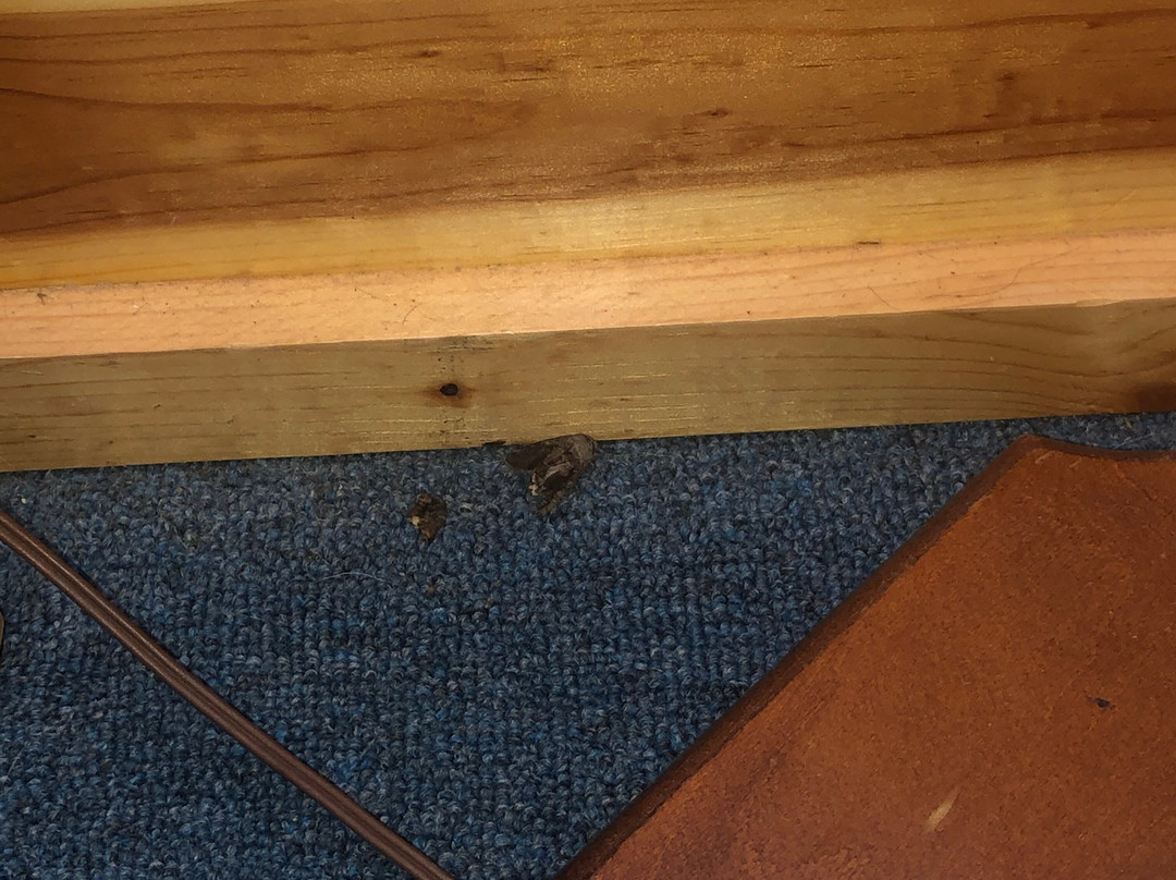 Tal-WI-WI Lodge主图