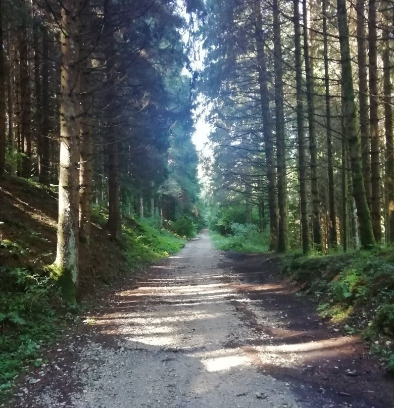 Strada Del Vecchio Trenino景点图片