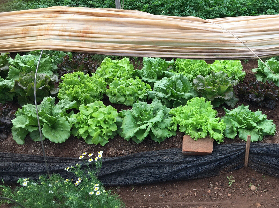 Agroecologia Ferrari景点图片