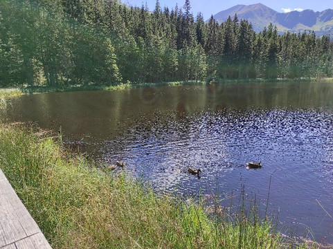 Smreczynski Staw-Koscielisko必去景点