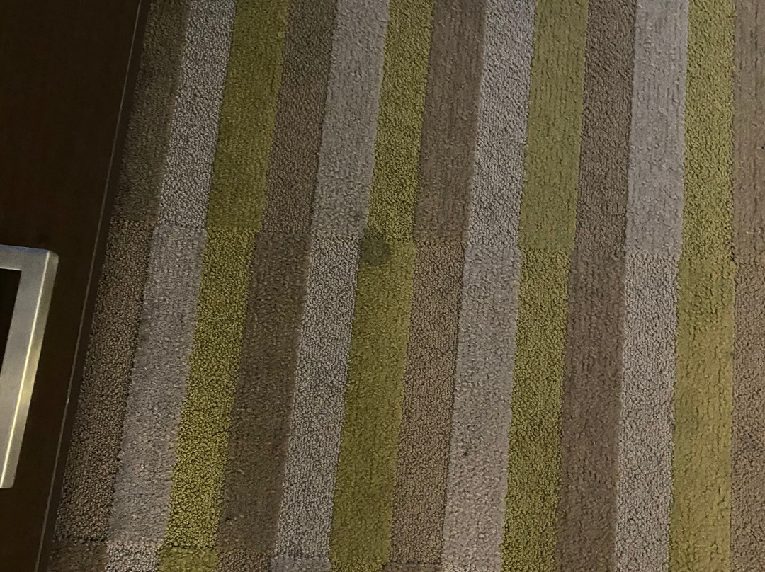 Best Western London Airport Inn & Suites主图