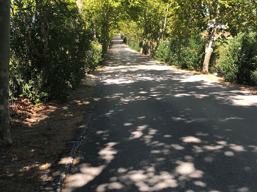 Montado Hotel & Golf Resort主图