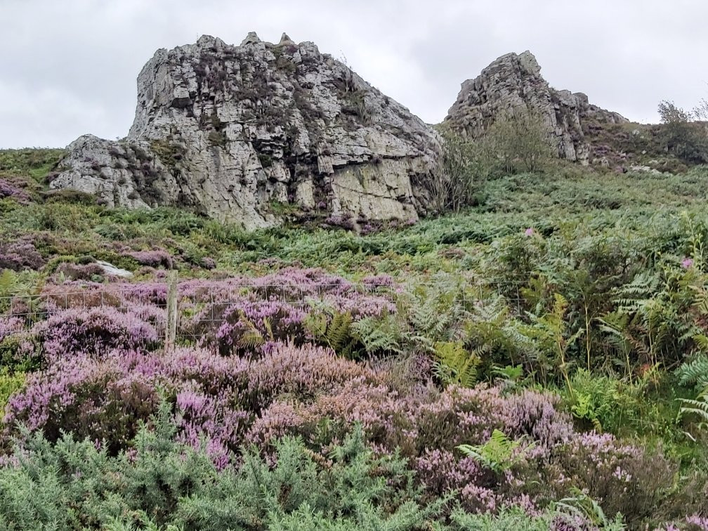 Stiperstones Nature Reserve-什鲁斯伯里必去景点