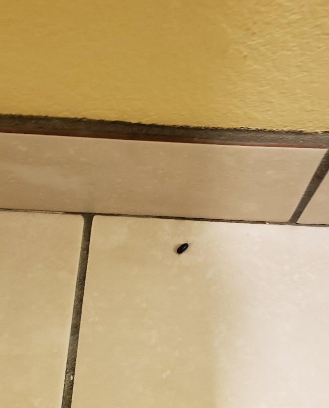 Quality Inn & Suites Lincoln主图