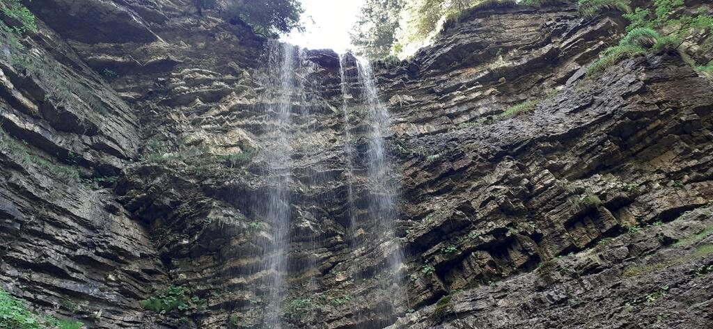 Escursione sul Sentiero Geologico alla Malga Prossliner景点图片