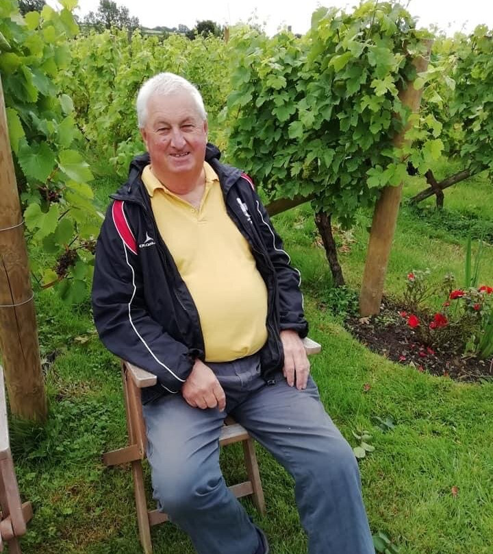 Glyndwr Vineyard主图