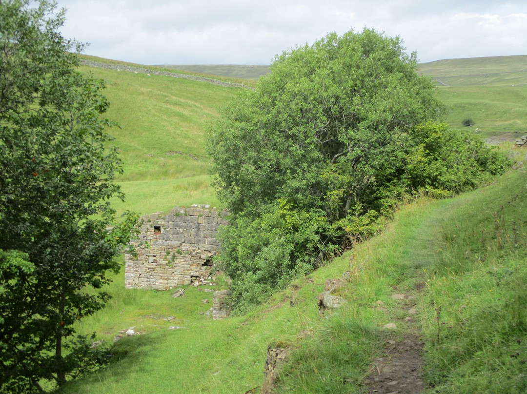Slitt Wood and West Rigg Geotrail景点图片