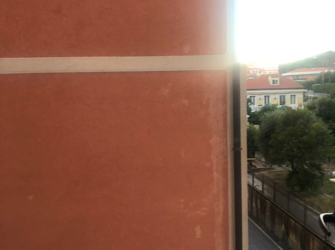 Hotel Flora主图