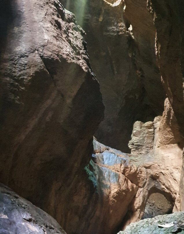 Cueva Palomera景点图片