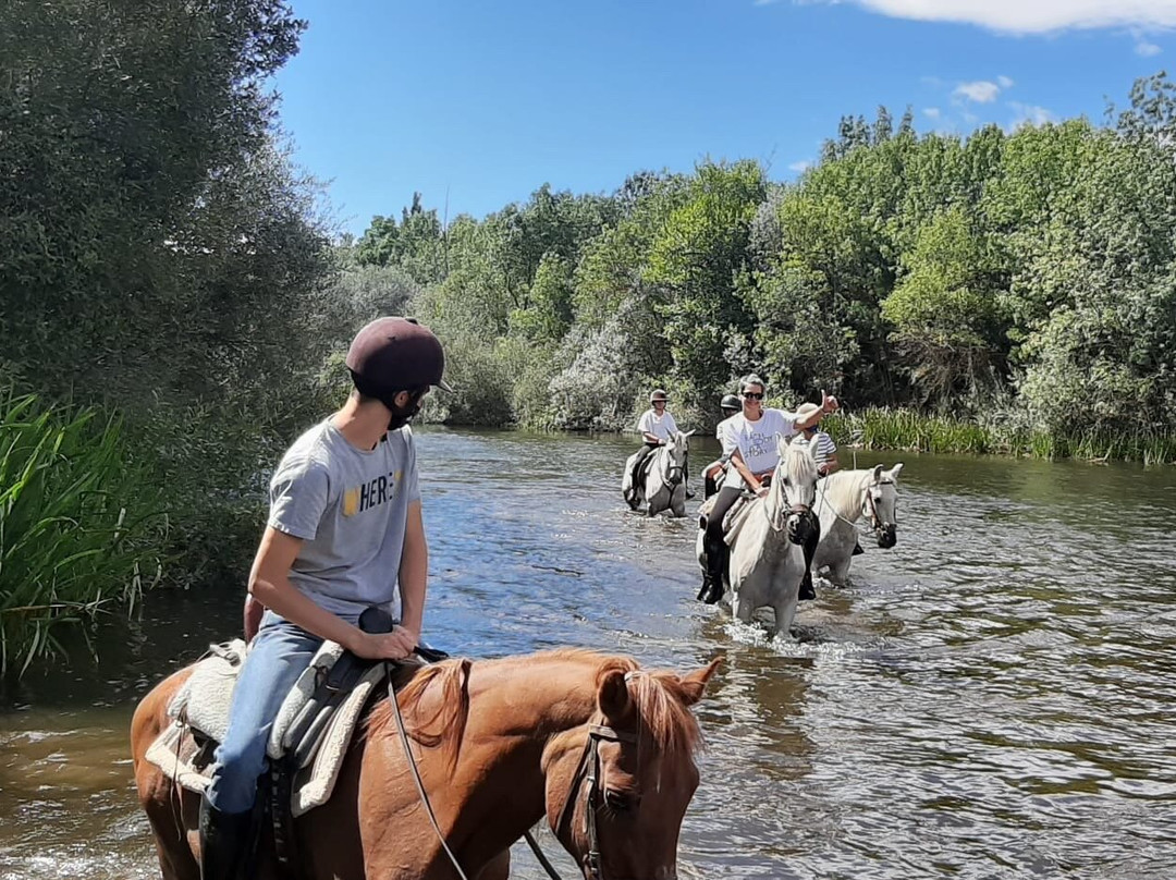 Caballos de la Ribera景点图片