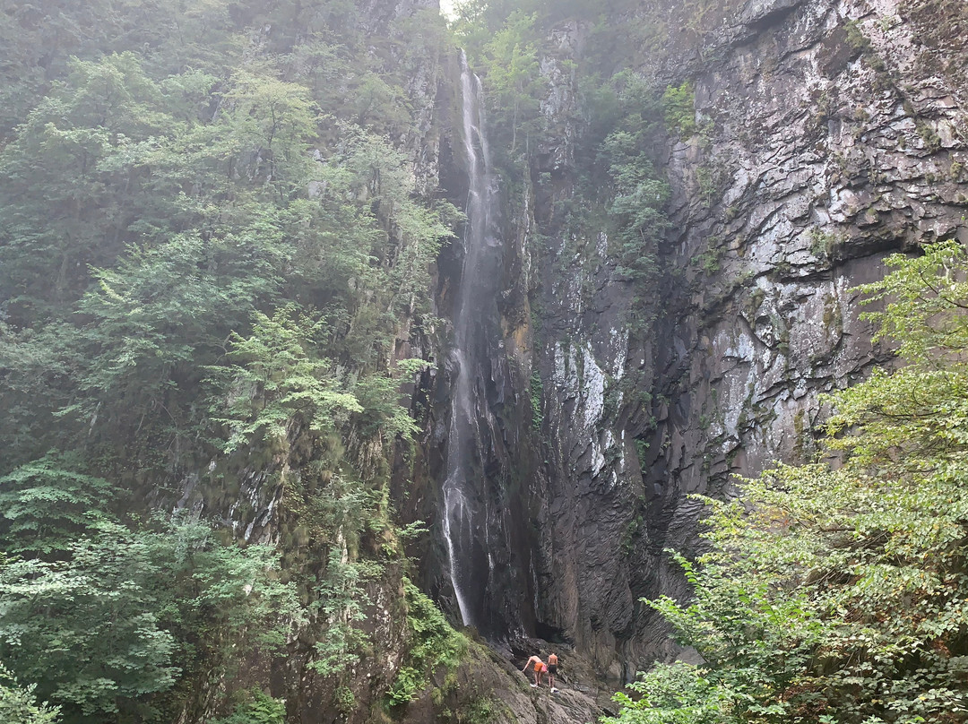 涅墨西斯酒店主图