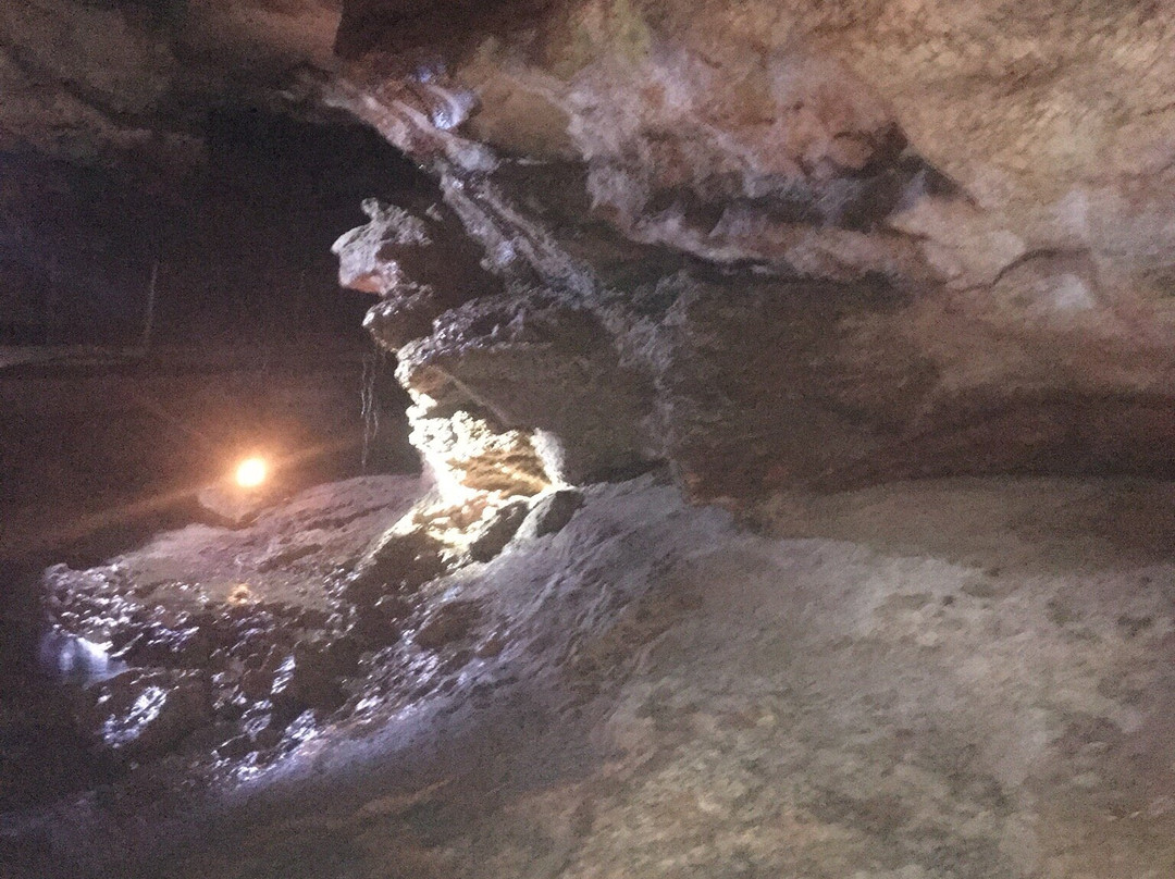 Alabaster Caverns State Park景点图片