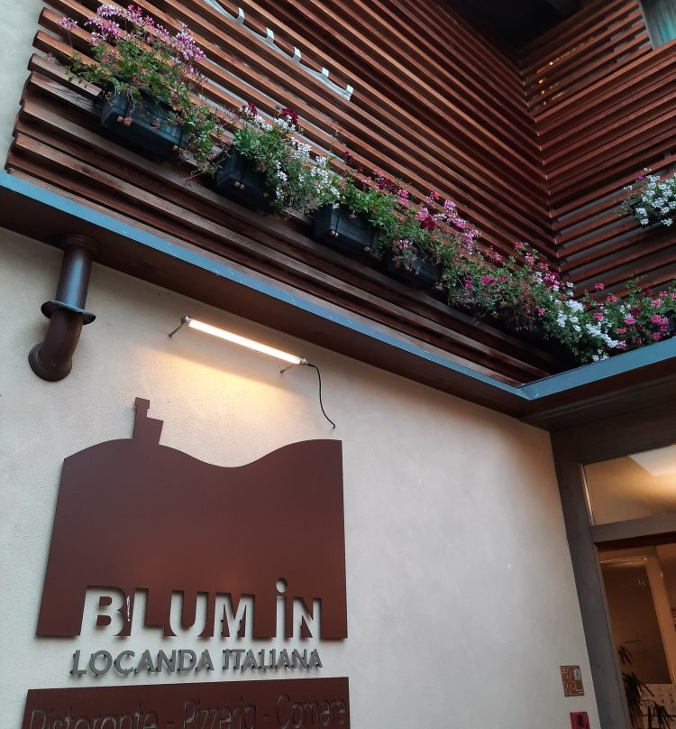 Blum In主图