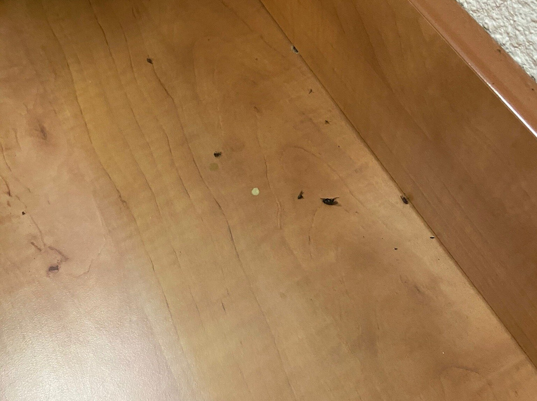 萨斯纳之瑞莱斯酒店主图