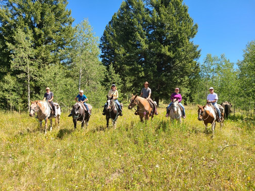 Yellowstone Mountain Guides Day Tours-西黄石镇必去景点