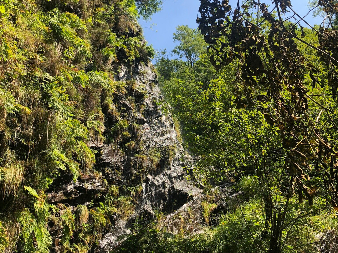 Ruta de La Cascada Seimeira景点图片