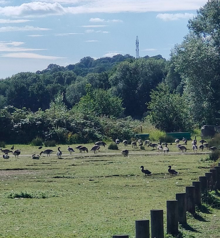 Colwick Country Park-Colwick必去景点