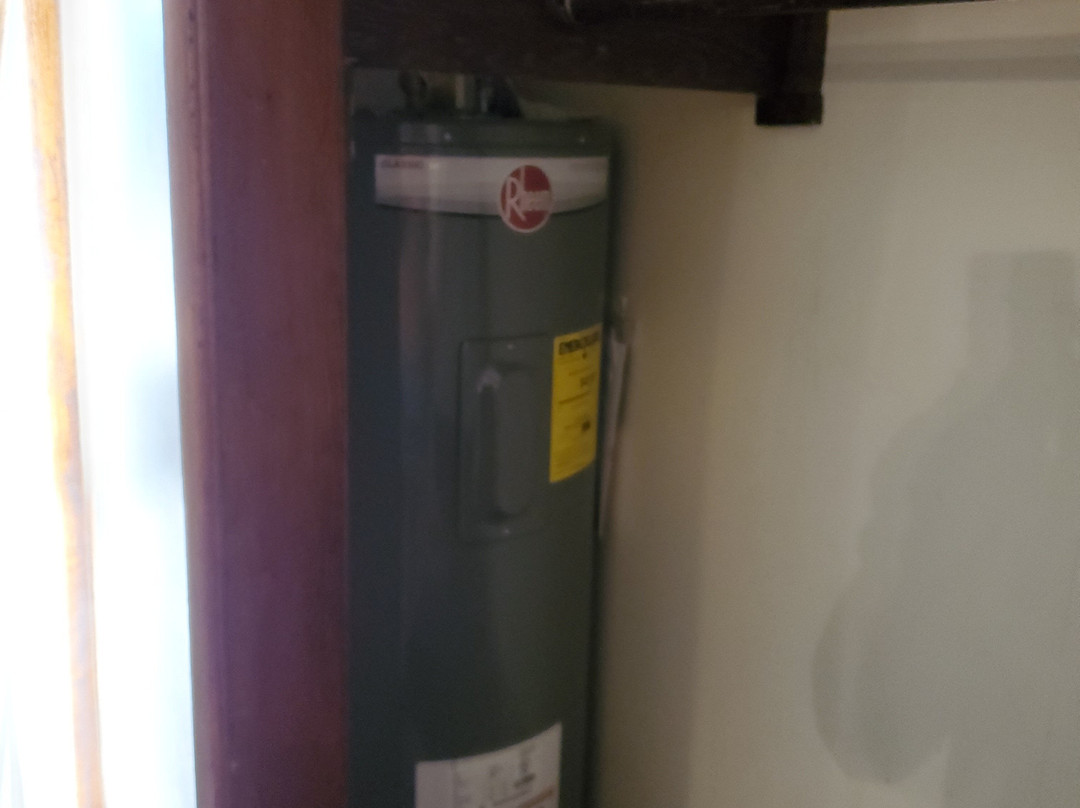 Daunt's Albatross主图