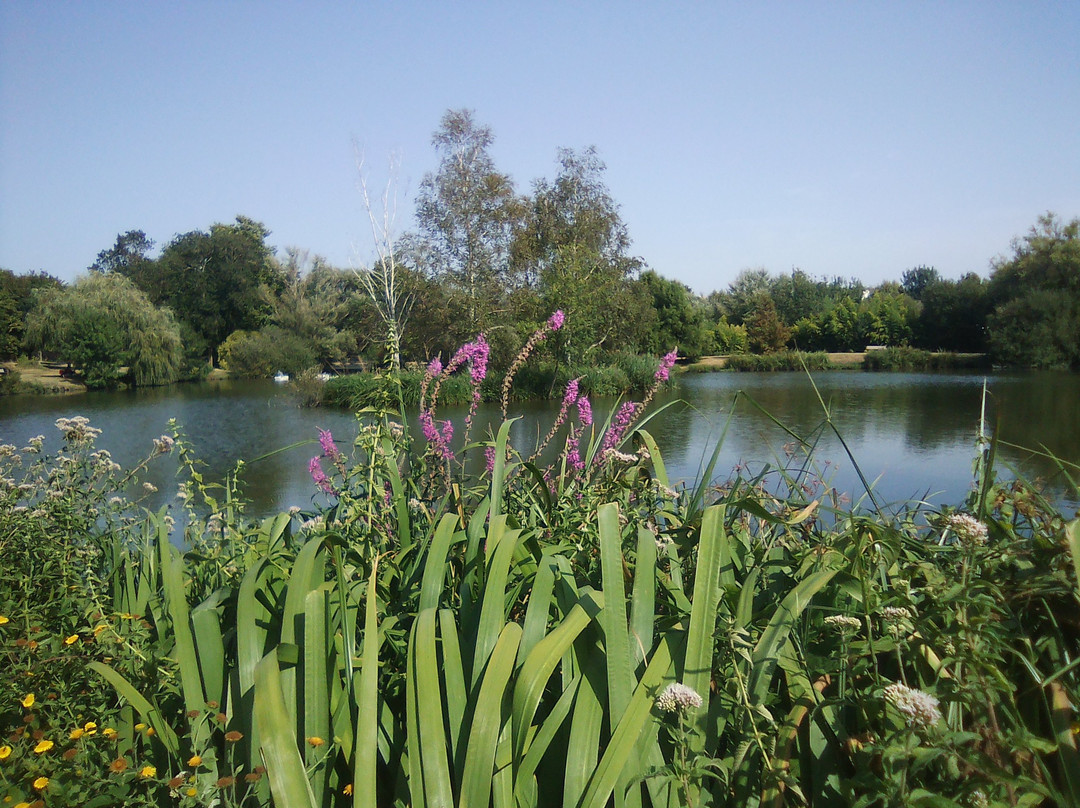 Parc Municipal景点图片