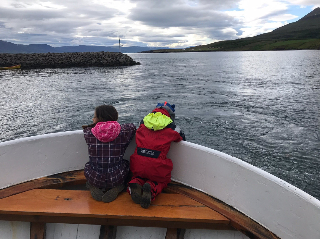 Whale Watching Hauganes-Hauganes必去景点