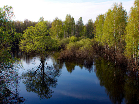 Bydreyevka旅游攻略图片