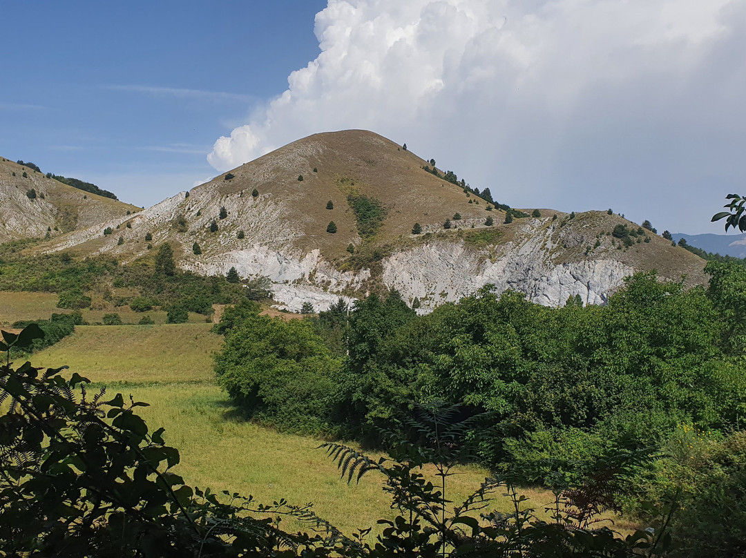 Green House B&B主图