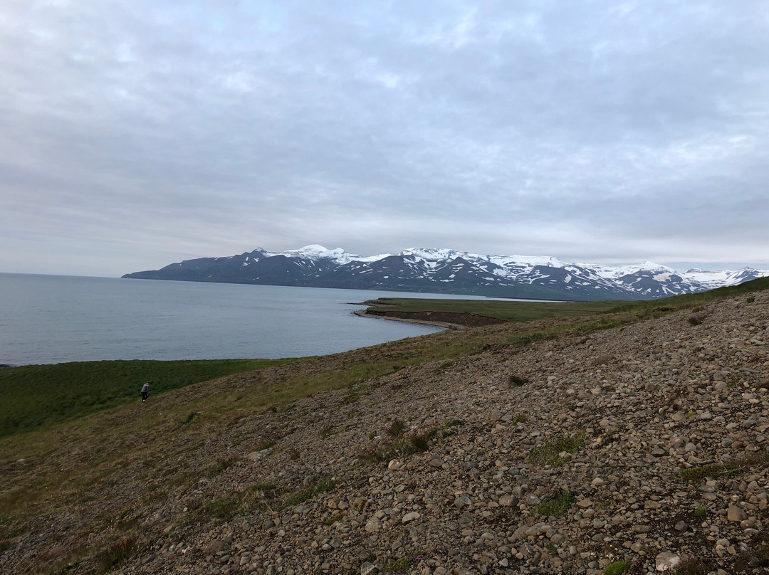 Siglufjorour旅游攻略图片