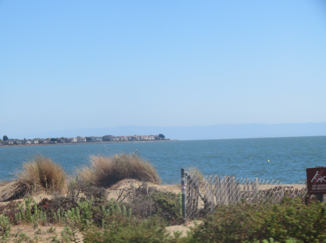 Shoreline Park景点图片