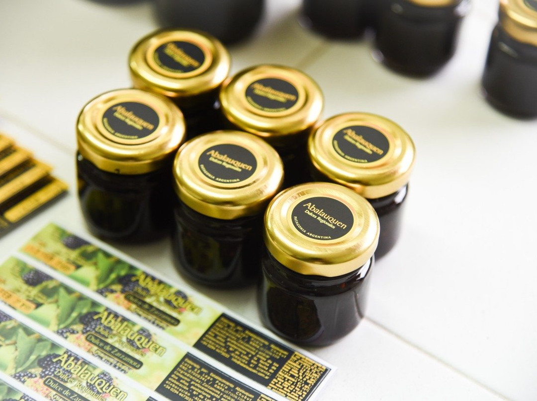 Abalauquen-Lago Puelo必去景点