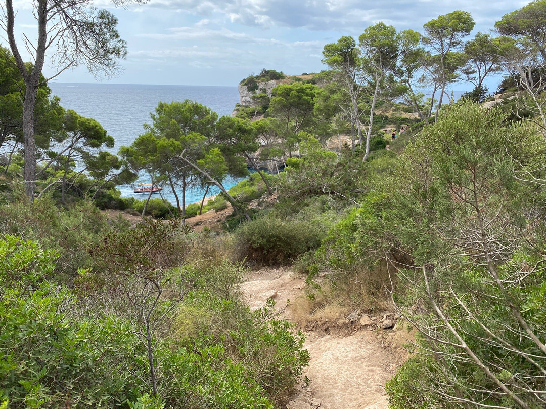 Playa Cala Moros景点图片