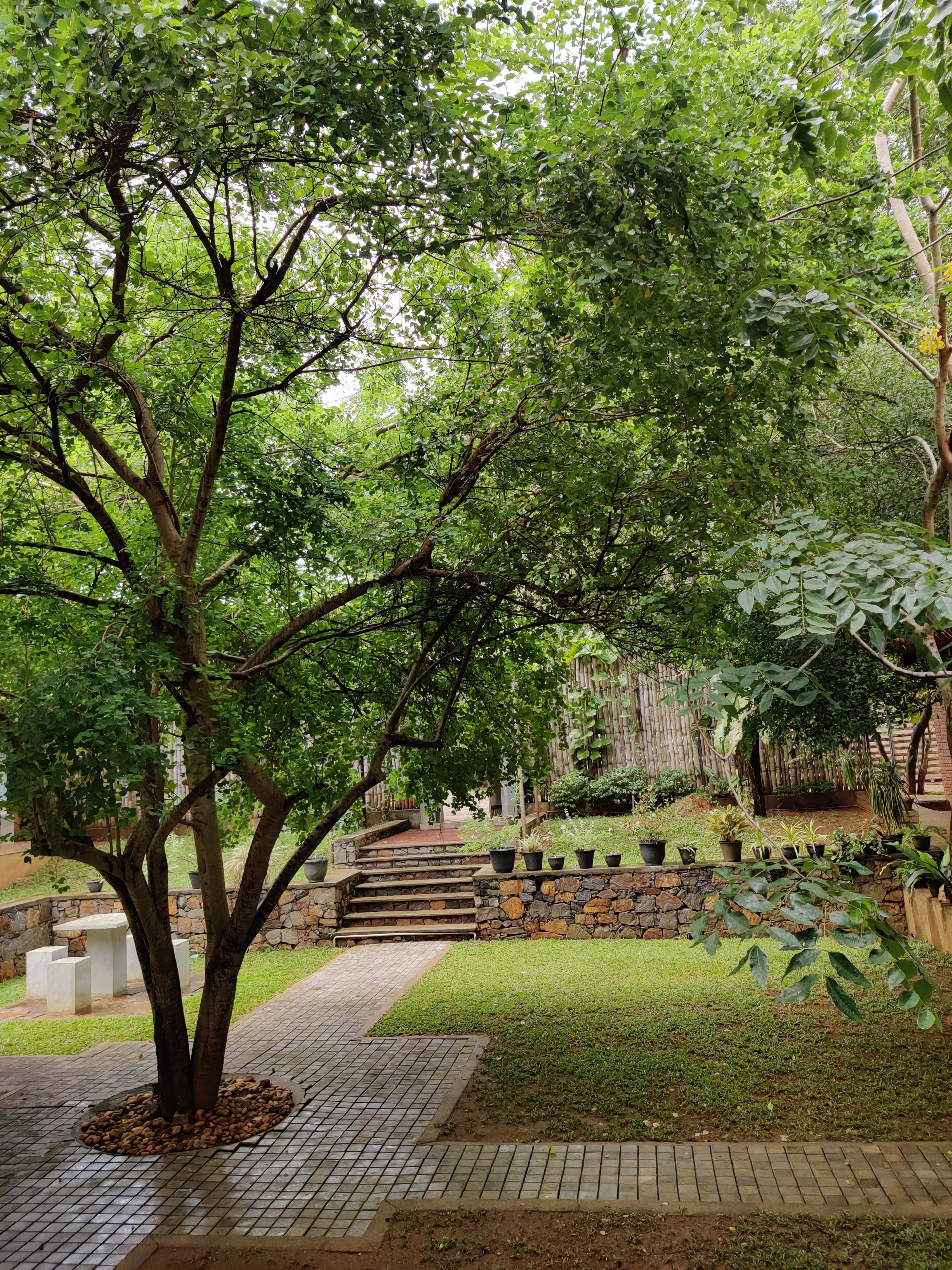 Eliyanth Udawalawa Hotel-浴室