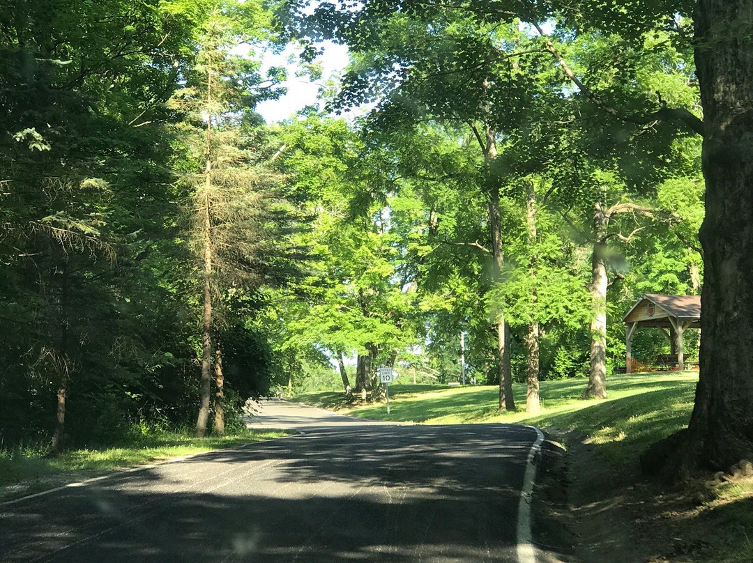 Mt Gilead Ohio State Park景点图片