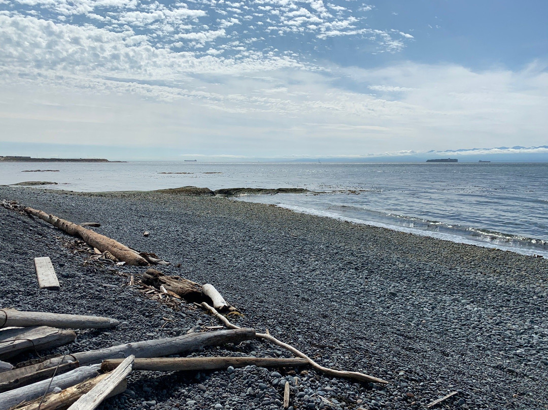 Clover Point Park景点图片