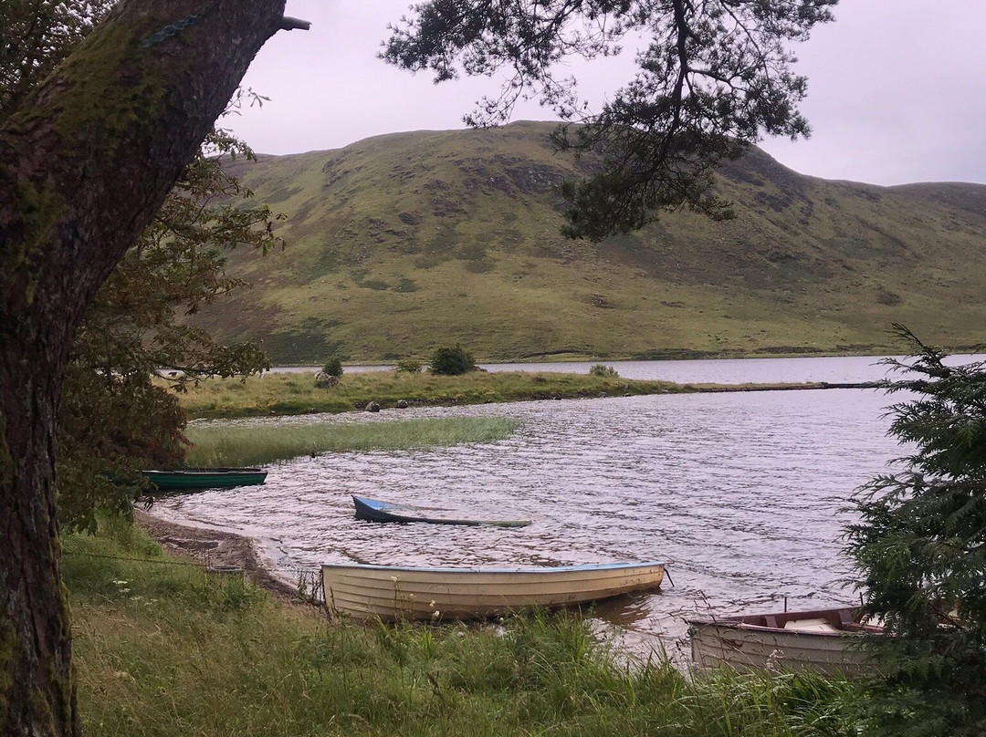 Lough Talt Loop Walk-斯莱戈必去景点