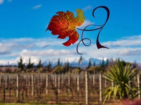 Wineberry Tours-瓦纳卡必去景点