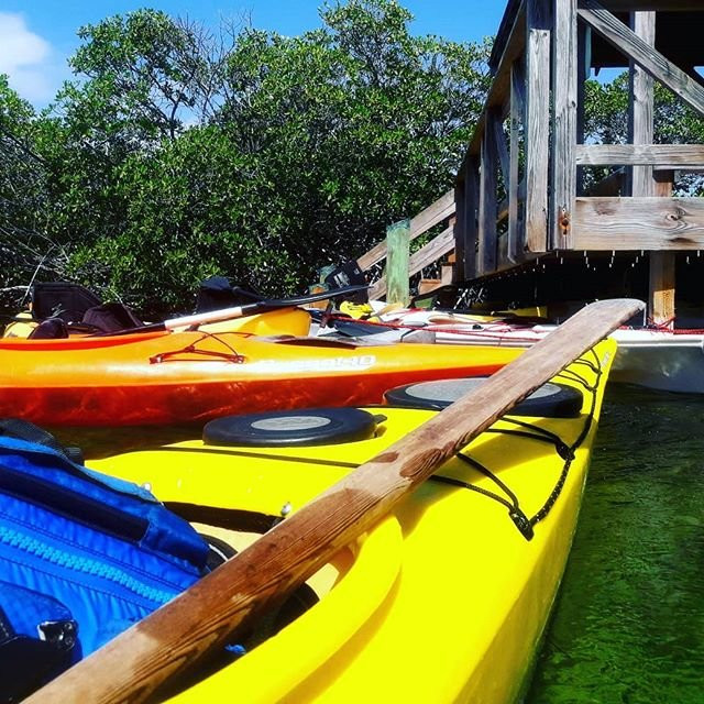 Wolf's Kayaking Club Bahamas - Training, EcoTours & Adventures-拿骚必去景点