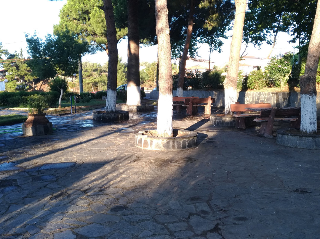 Altinoluk Merkez Parki景点图片