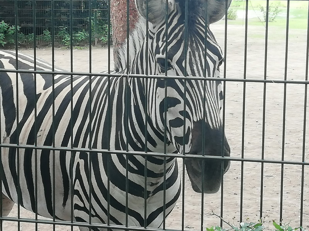 Zoo Veldhoven景点图片